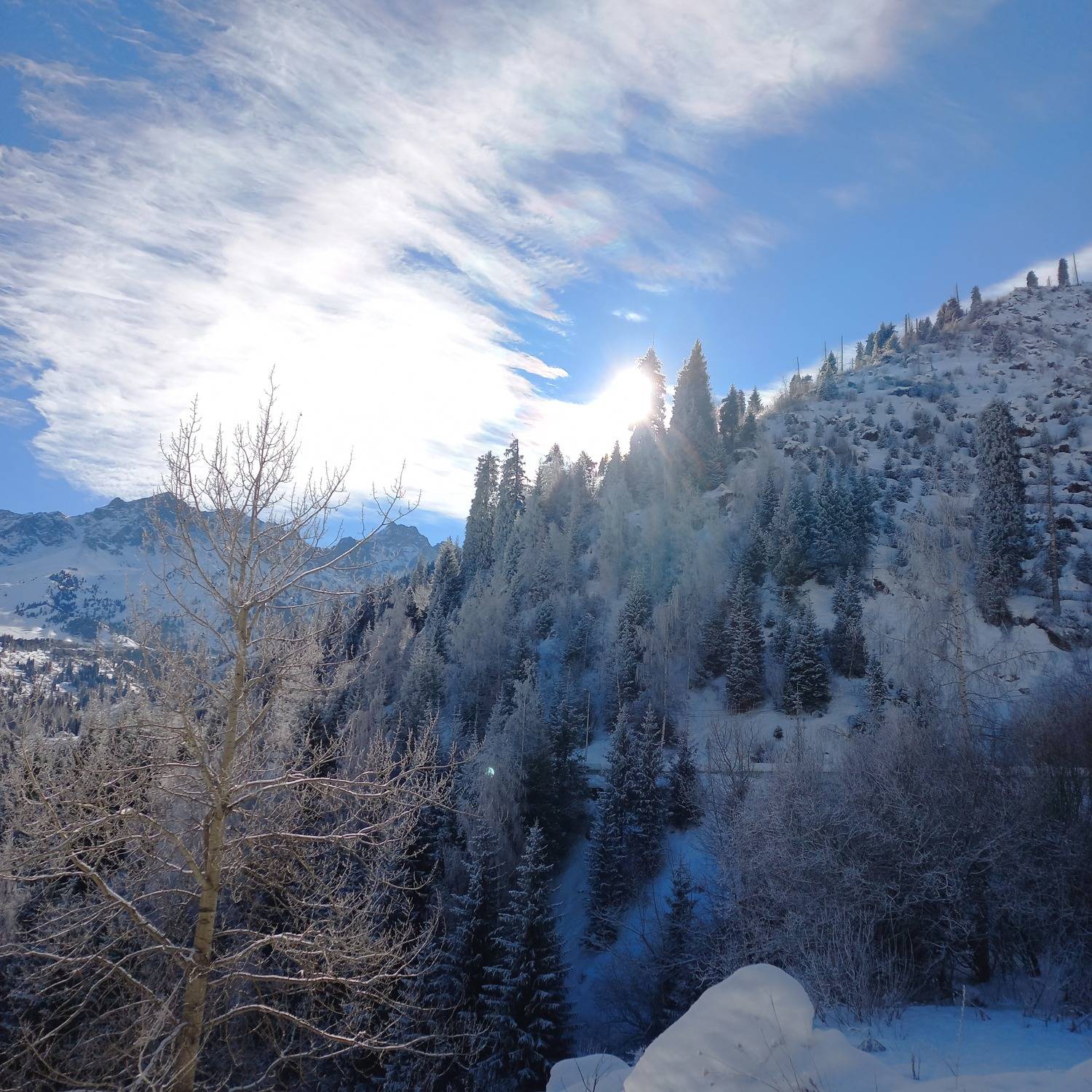 Photo #8598701