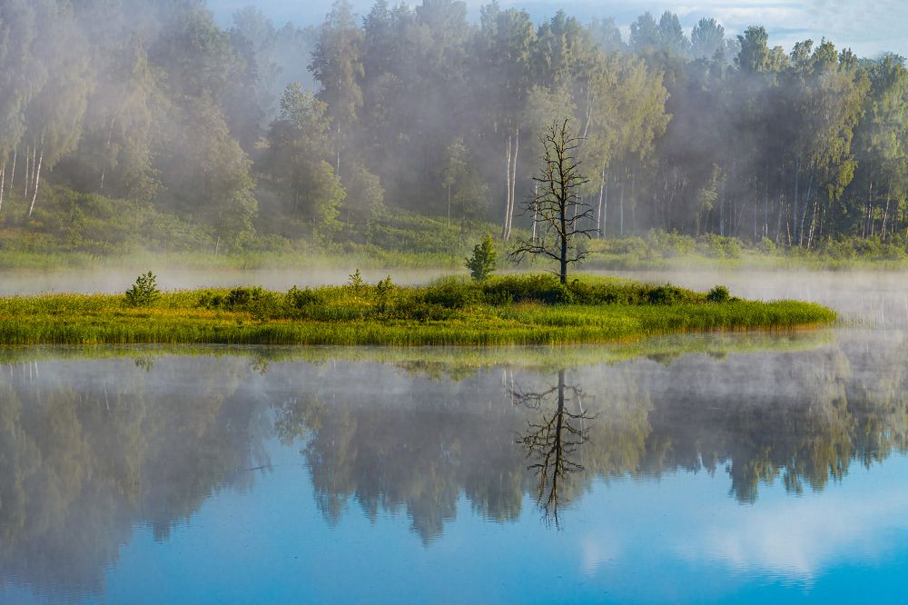 Photograph by Valdis Serzhans