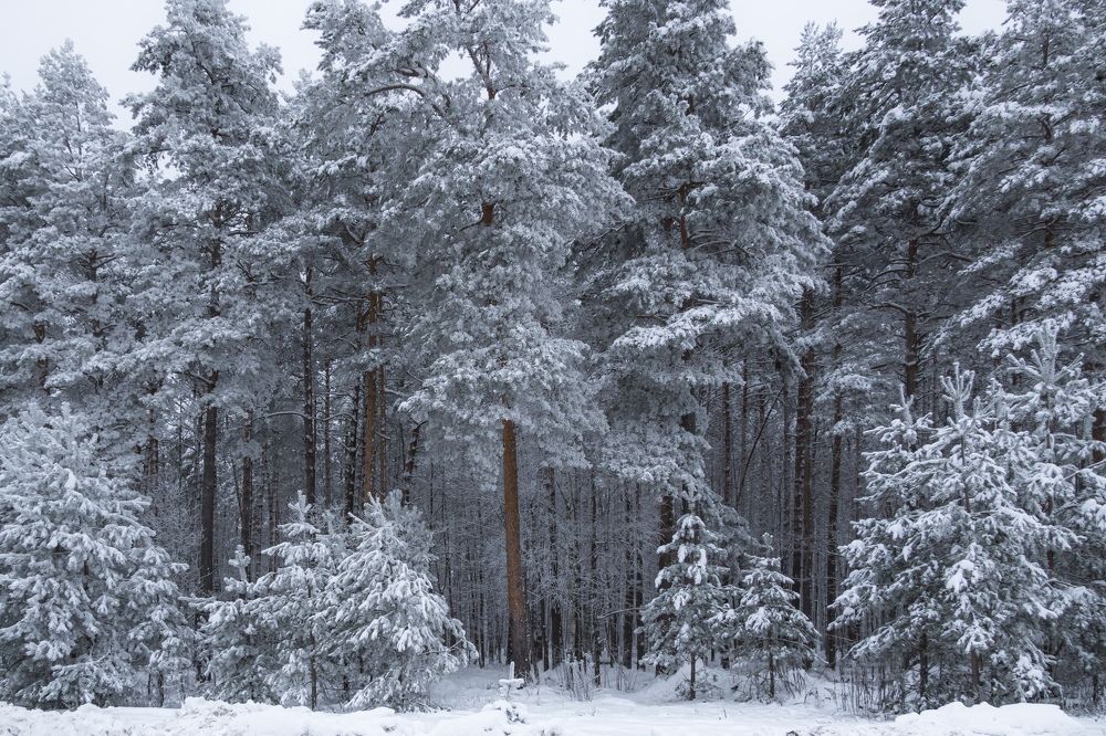 Photograph by Valdis Serzhans