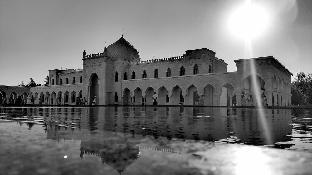 Photograph by Светлана