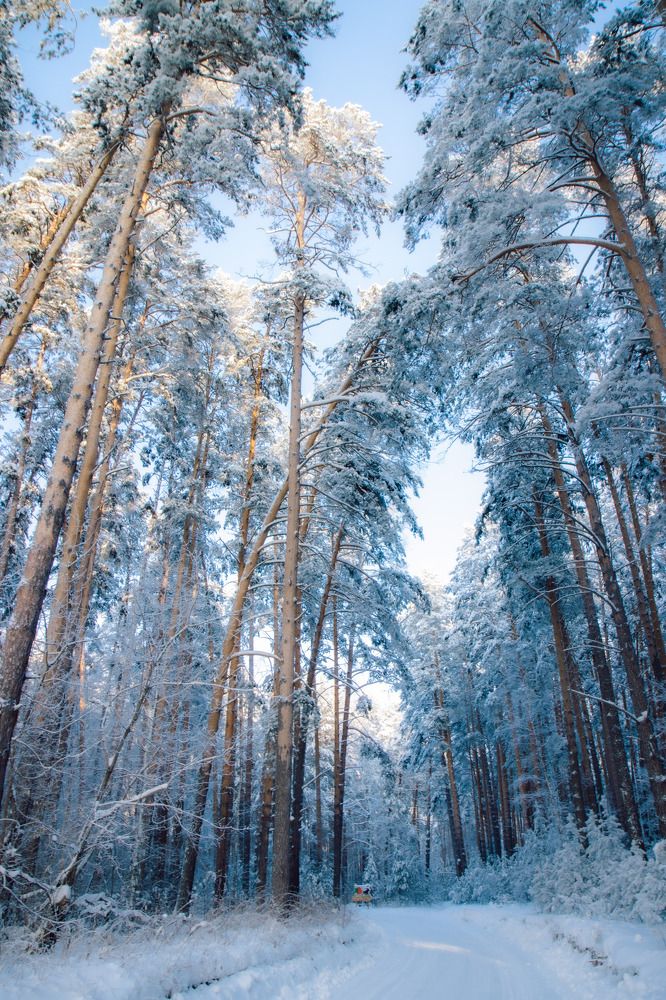 Photograph by Игорь Тюменцев