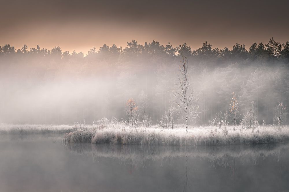 Photograph by Евгений Москвин