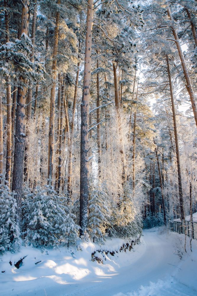 Photograph by Игорь Тюменцев