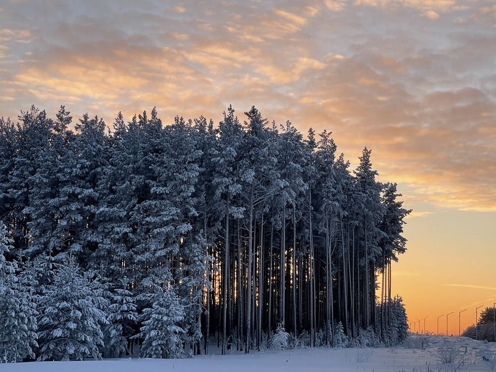 Photograph by Елена Волкова