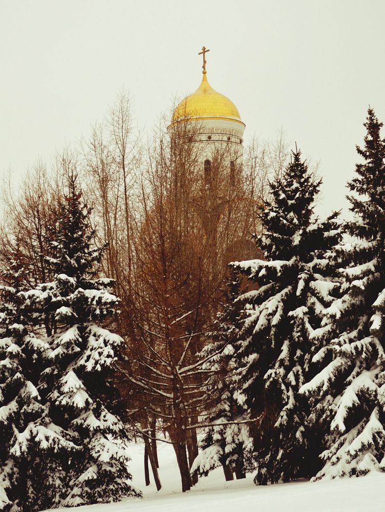 Photograph by Александр Лабутин