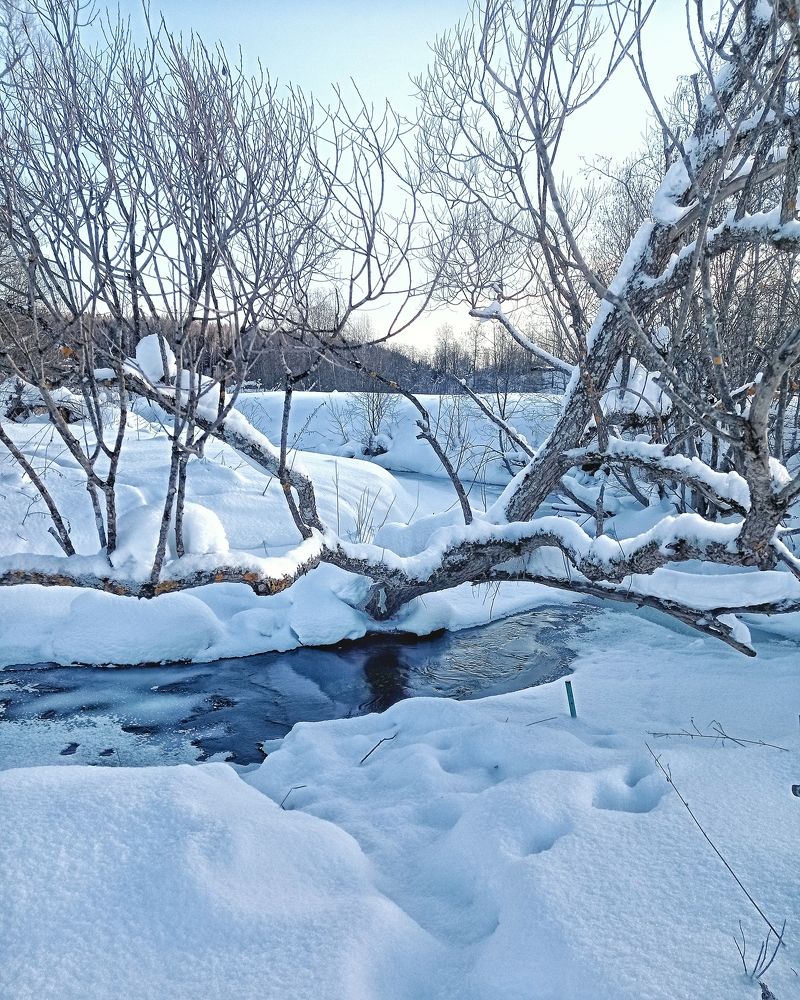 Photograph by Ольга Третьякова