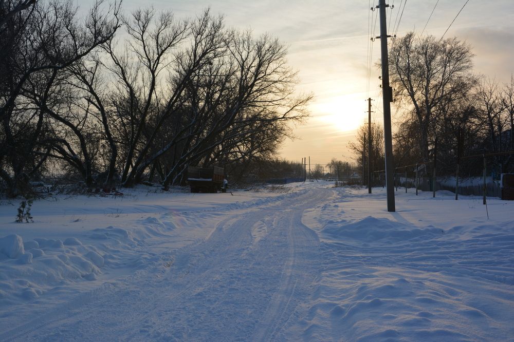Photograph by Максим Покидышев