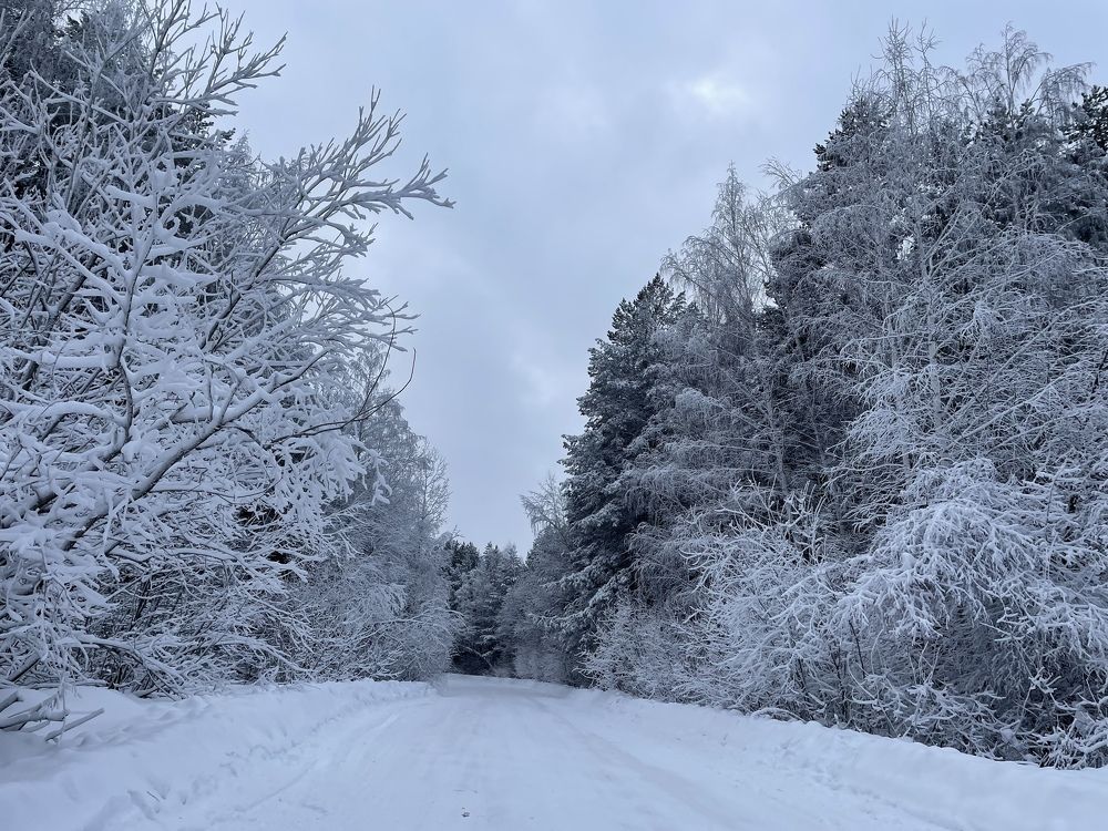 Photograph by Елена Волкова