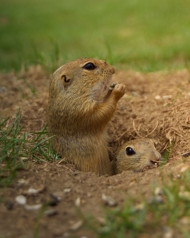 Photograph by Filip Betko