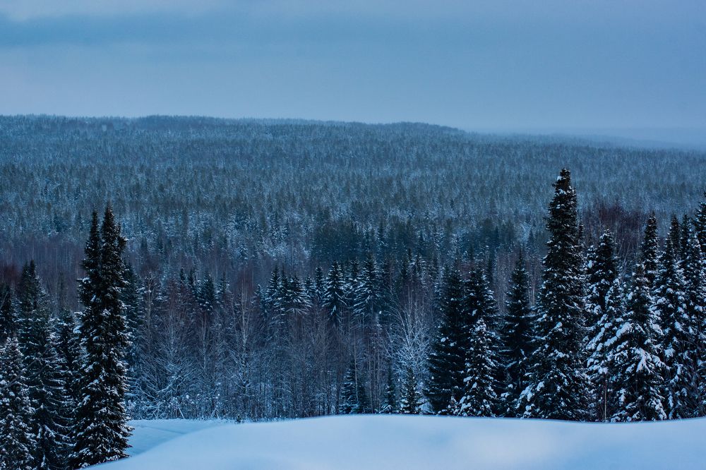 Photograph by Николай Грекалов