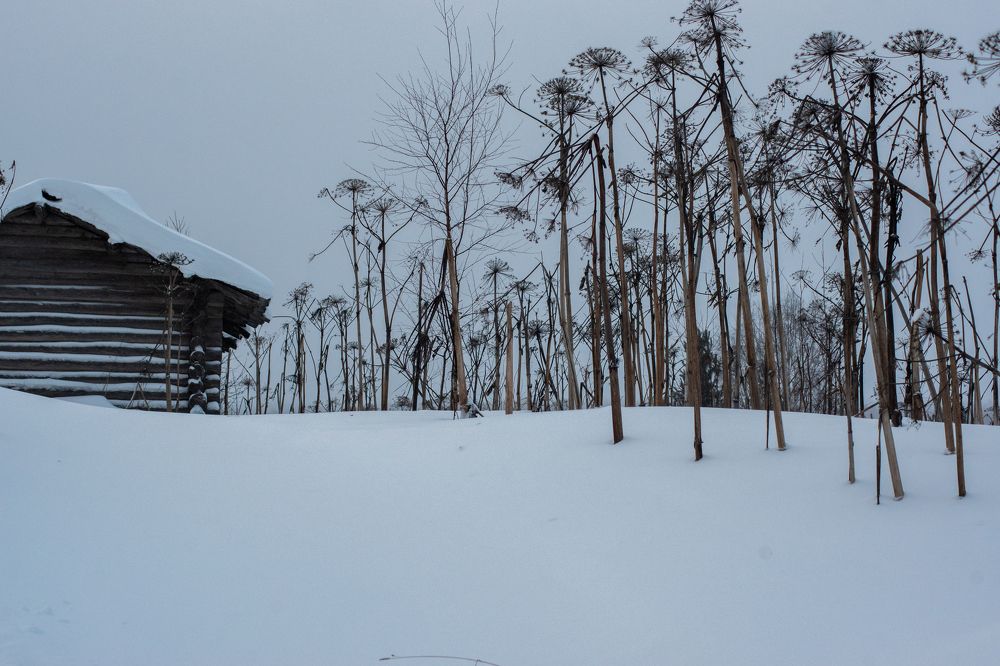 Photograph by Николай Грекалов