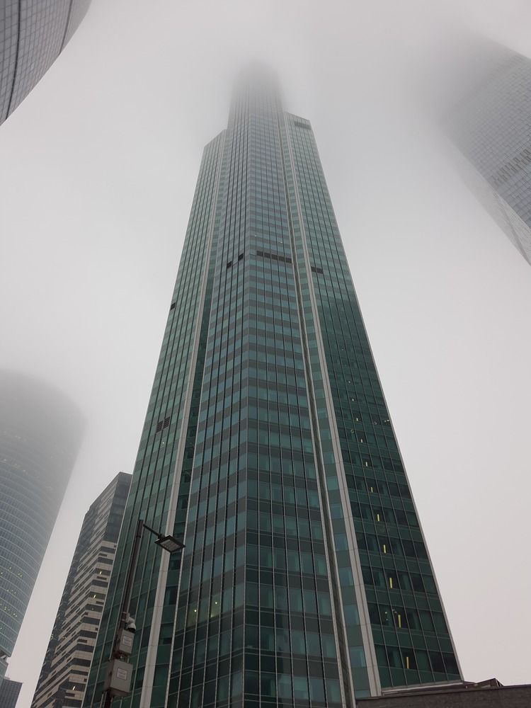 Photo #8599021