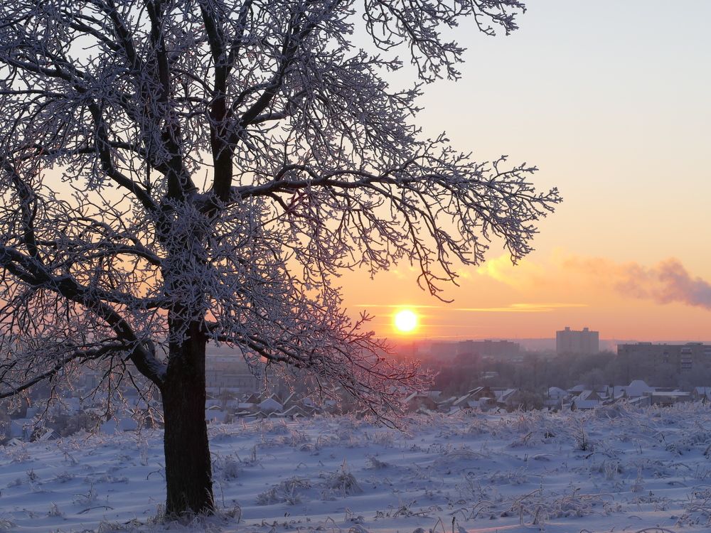 Photograph by Александр Кизим