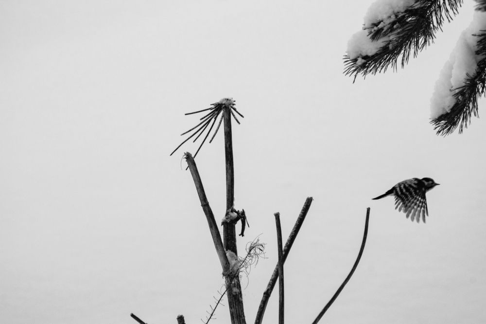 Photograph by Николай Грекалов