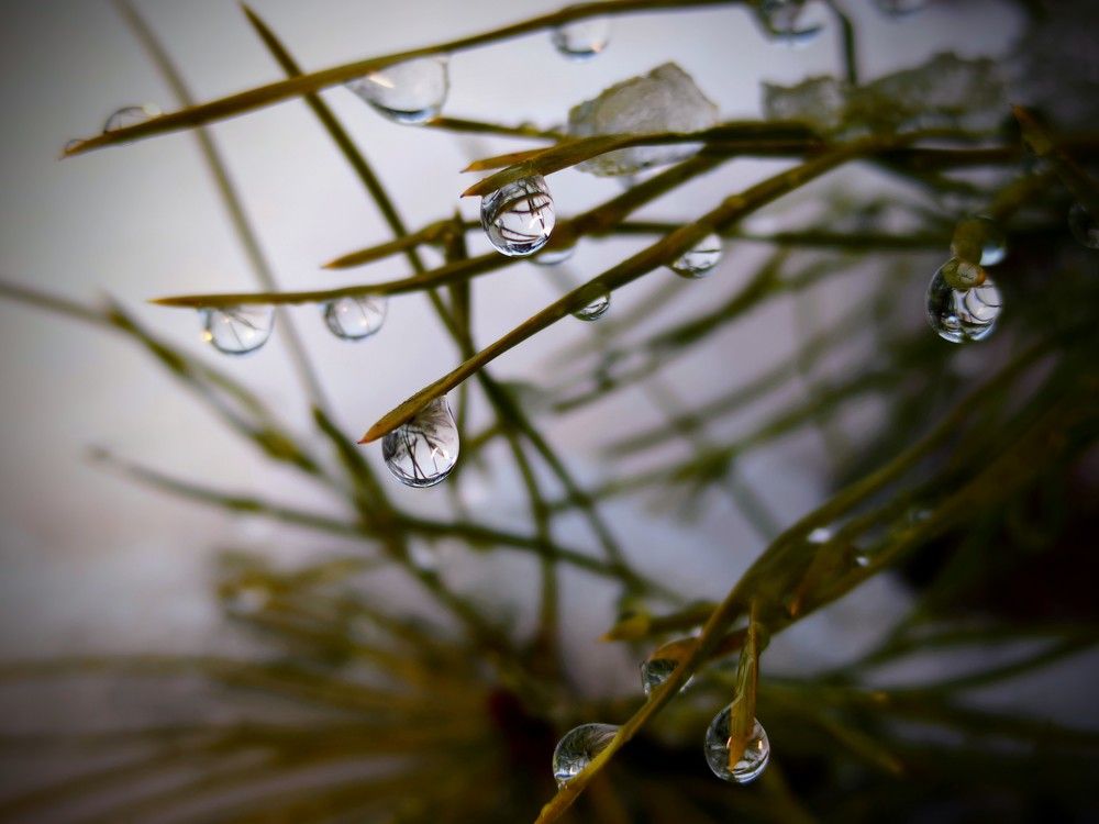 Photograph by Денис Грамович