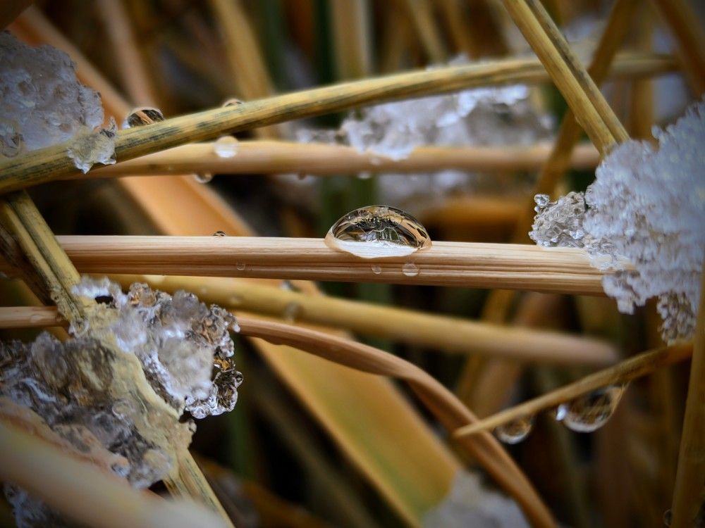 Photograph by Денис Грамович