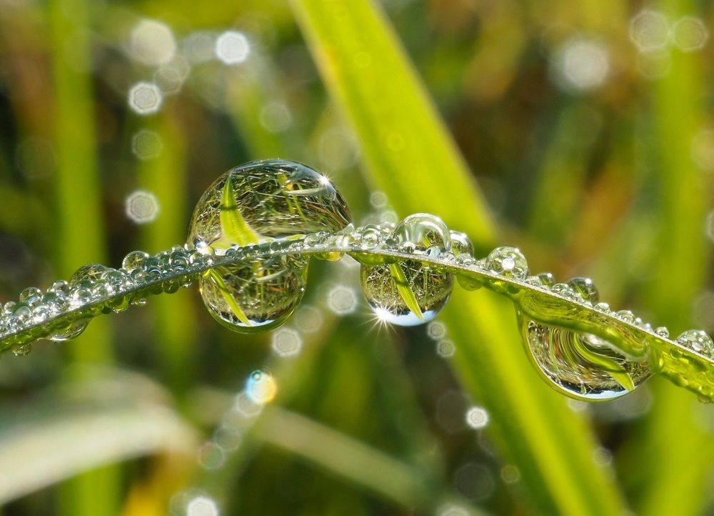 Photograph by Елена Харитонова