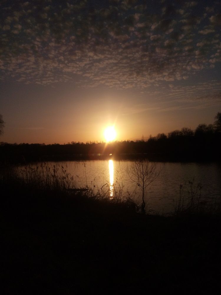 Photograph by Ирина Шаповалова