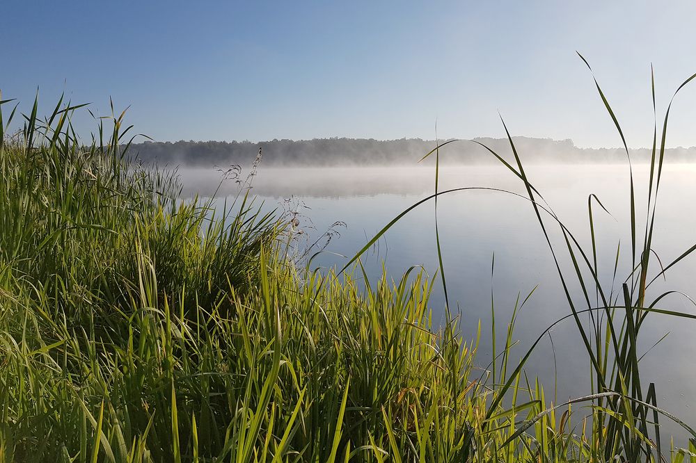 Холодная тишина