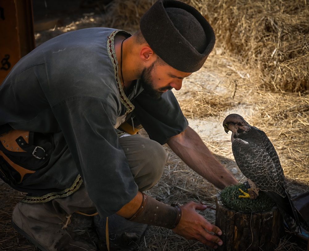 Сокольничий