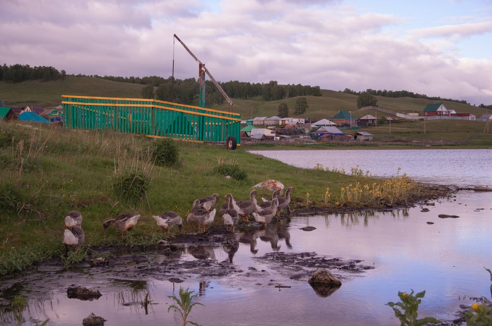 Photograph by Наталия Акимова