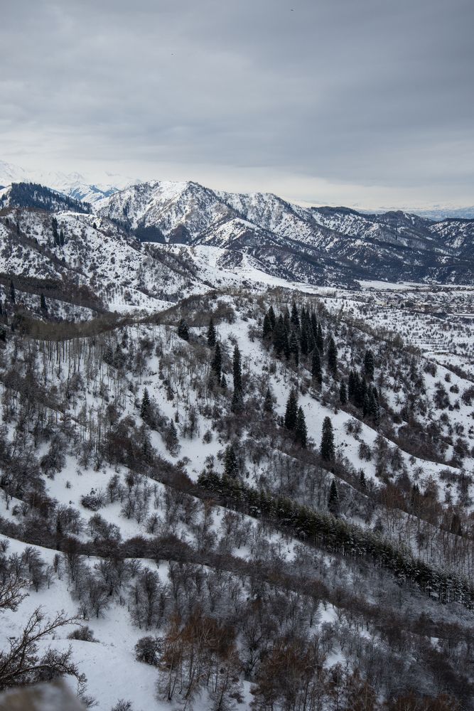 Photograph by Екатерина Якель