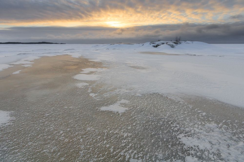 Photograph by NIKITA LUFEROV