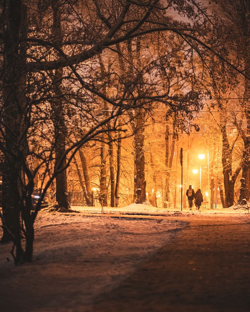 Photograph by Лапшин Алексей