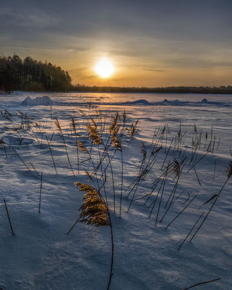 Photograph by АНДРЕЙ АБАКУМОВ