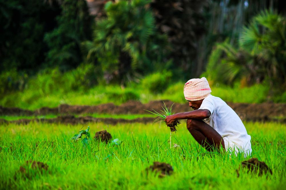 Фотография автора Kuramana Ashok Kumar