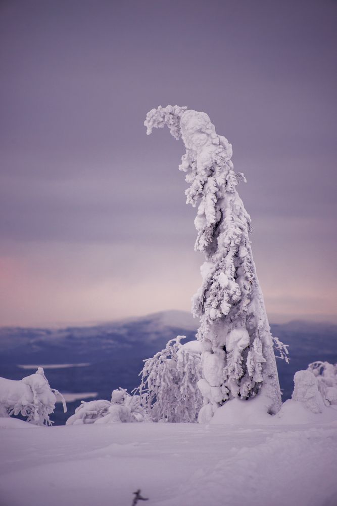Photograph by Александр Державин