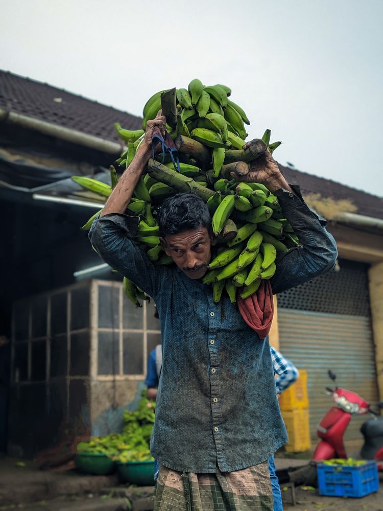 Photograph by SIBIN V