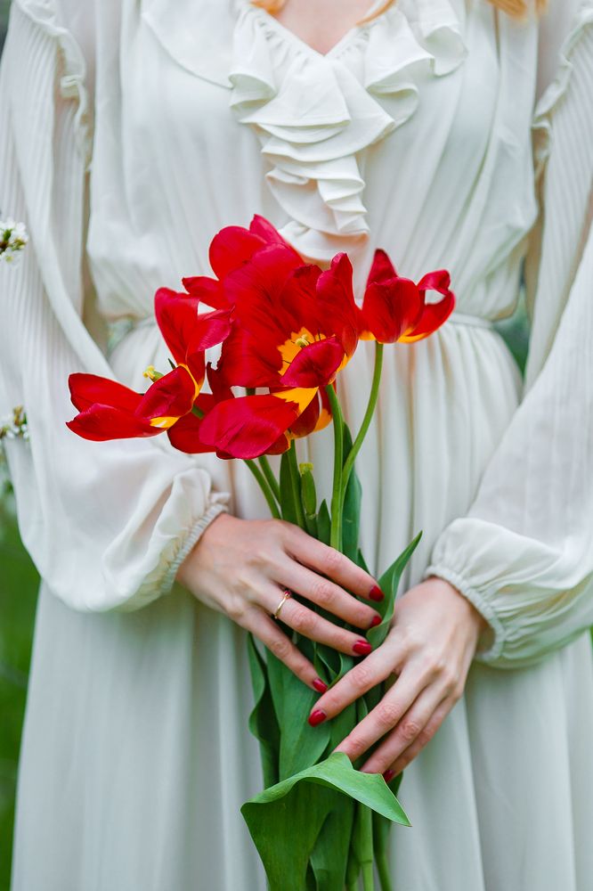 Вишня в цвету