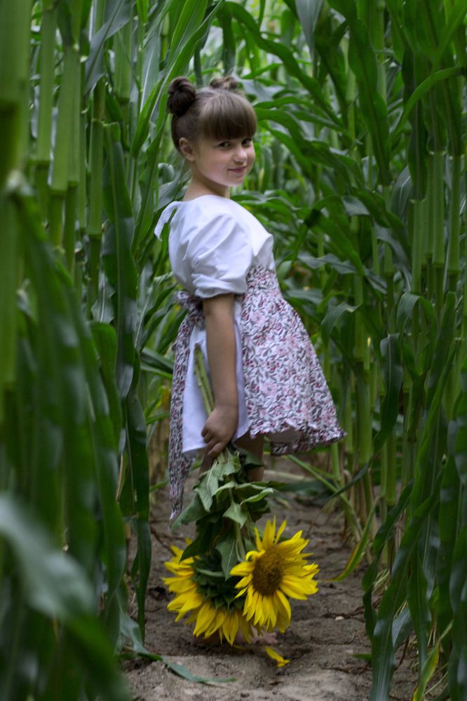 Волшебная страна.