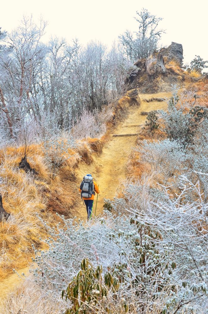 Фотография автора Anirban Chatterjee