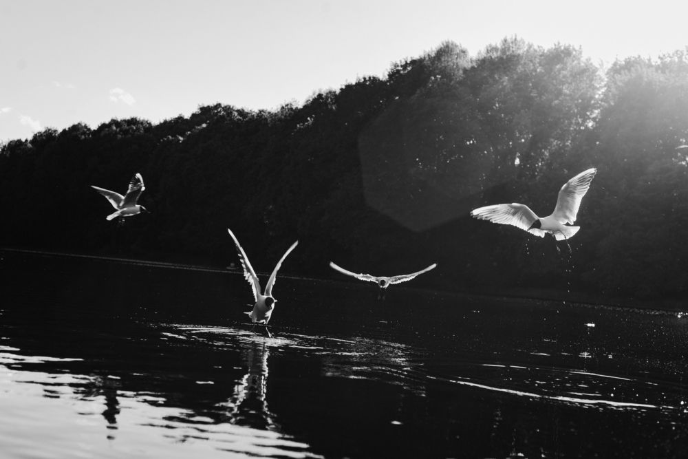 Photograph by Андрей Шелуков