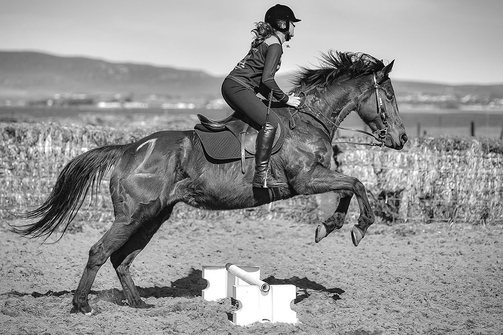 Photograph by Nico Holtzkamp