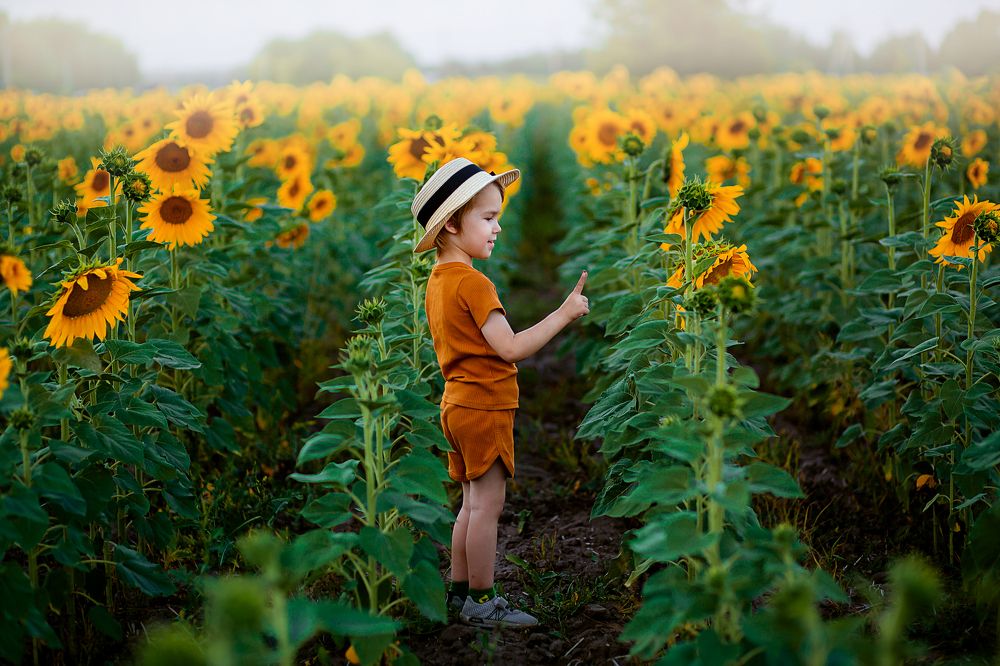 Photograph by Эля Булыгина