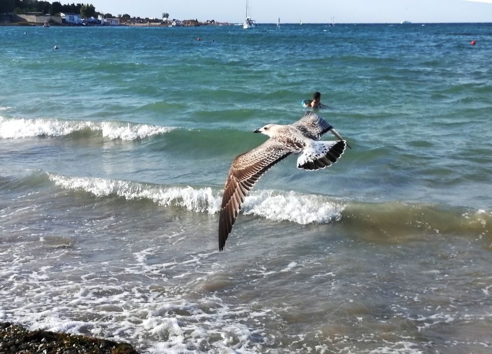 Photograph by Тамара Багровская
