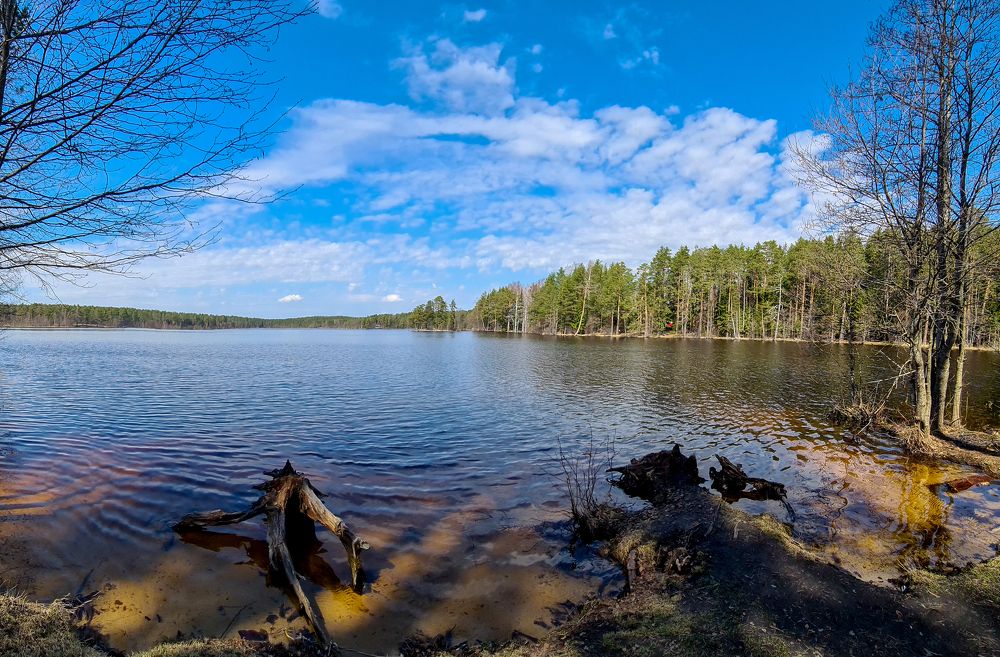Photograph by Ольга Михайлова