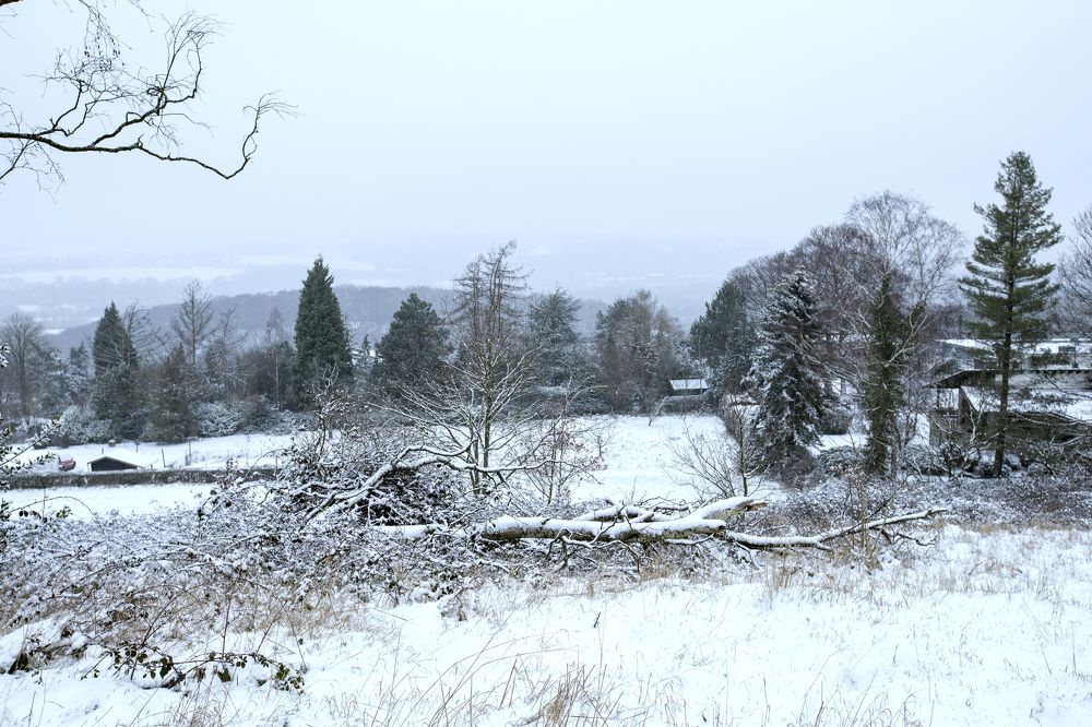 Фотография автора Uljana Kuchar