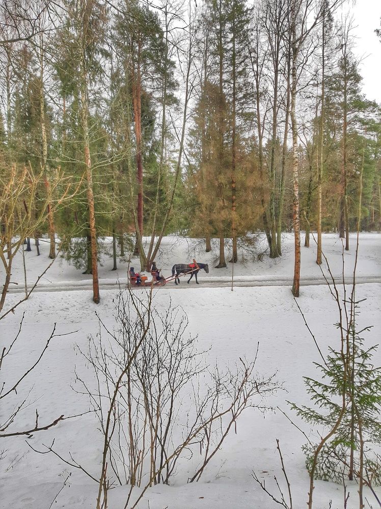 Photograph by Оксана Смородина