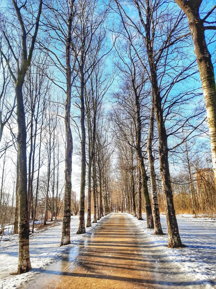 Photograph by Оксана Смородина