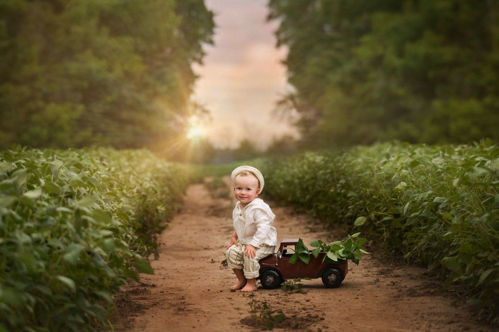 Фотография автора Irina Kornienko