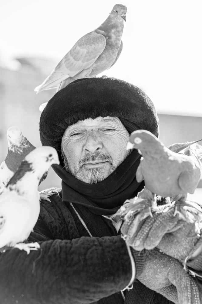 Photograph by Темур Талипов