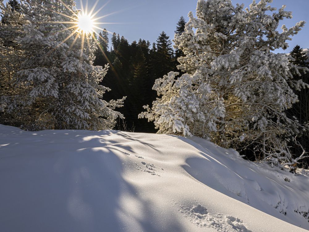 Photograph by Валерий Одинцов