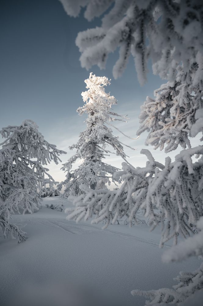 Photograph by Марьям Цимбельман