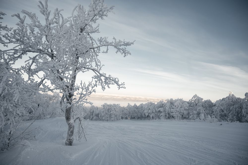 Photograph by Марьям Цимбельман