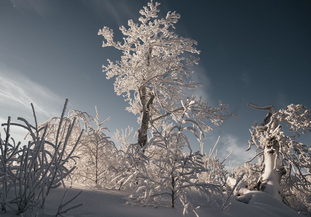 Photograph by Марьям Цимбельман