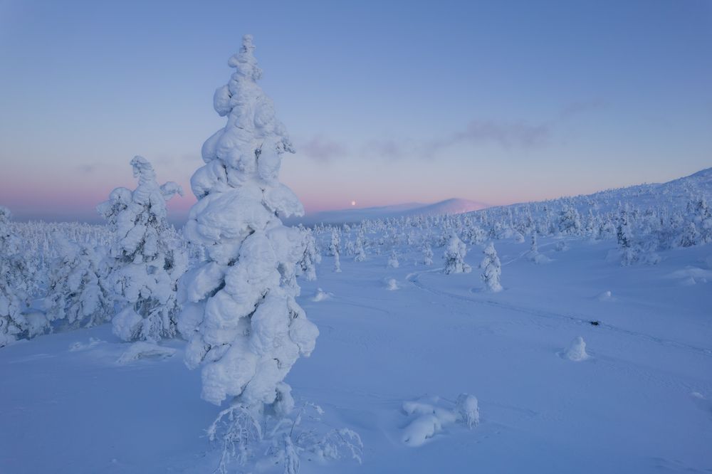 Photograph by Дмитрий Геращенко